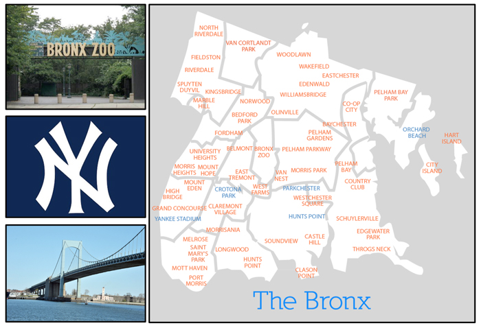 CODFUEL.com is proud to deliver to the Bronx